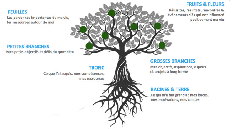 dessin arbre de vie